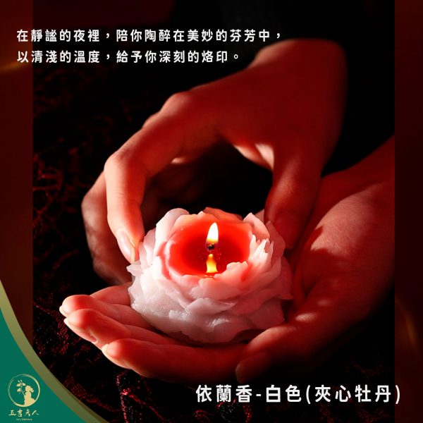 【現貨】低溫香薰蠟燭 鎏金玫瑰 牡丹造型 滴蠟情調 浪漫香氛 大豆蠟 親膚不燙 潤膚按摩 手工蠟燭 情侶禮物 告白驚喜 漸變流金